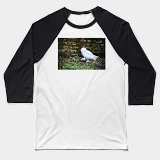 snow owl 2 / Swiss Artwork Photography Baseball T-Shirt